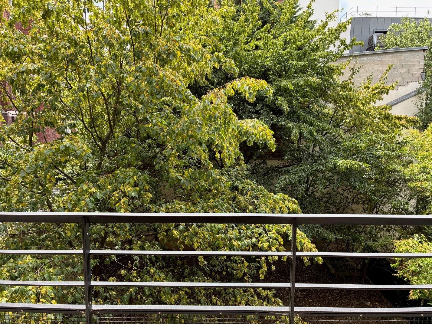 Appartement Asnières-sur-Seine 90.60 m² 4 pièces Appartement Asnières-sur-Seine 90.60 m² 87159159 4